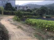 广东省,广州市,增城区,小楼镇,黄村