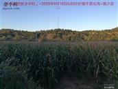 辽宁省,朝阳市,龙城区,半拉山街道,半拉山村