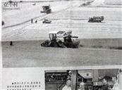 安徽省,亳州市,蒙城县,小辛集乡,辛集社区