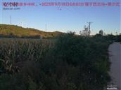 辽宁省,朝阳市,龙城区,半拉山街道,半拉山村