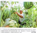 山西省,运城市,平陆县,张村镇,关家窝村