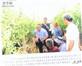 山西省,运城市,永济市,卿头镇,关家庄村