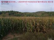辽宁省,朝阳市,龙城区,半拉山街道,半拉山村