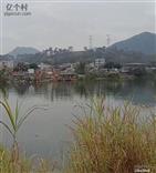 广西,玉林市,容县,石寨镇,霄垌村