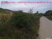 辽宁省,朝阳市,龙城区,半拉山街道,半拉山村