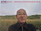 辽宁省,朝阳市,龙城区,半拉山街道,半拉山村