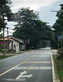 广东省,广州市,增城区,小楼镇,黄村