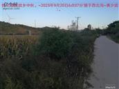 辽宁省,朝阳市,龙城区,半拉山街道,半拉山村