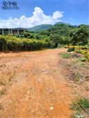 广东省,广州市,增城区,小楼镇,黄村