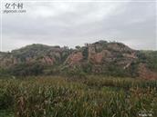 陕西省,榆林市,吴堡县,岔上镇,刘家里村