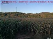 辽宁省,朝阳市,龙城区,半拉山街道,半拉山村