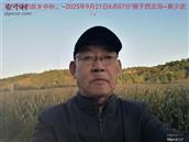 辽宁省,朝阳市,龙城区,半拉山街道,半拉山村