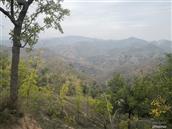 陕西省,榆林市,吴堡县,岔上镇,刘家里村