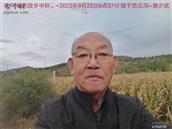 辽宁省,朝阳市,龙城区,半拉山街道,半拉山村
