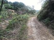 广东省,广州市,增城区,小楼镇,黄村