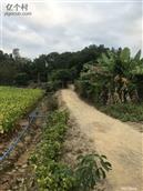 广东省,广州市,增城区,小楼镇,黄村