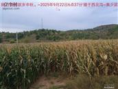 辽宁省,朝阳市,龙城区,半拉山街道,半拉山村