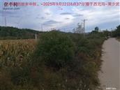 辽宁省,朝阳市,龙城区,半拉山街道,半拉山村