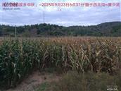 辽宁省,朝阳市,龙城区,半拉山街道,半拉山村