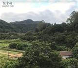 广东省,广州市,增城区,小楼镇,黄村