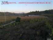 辽宁省,朝阳市,龙城区,半拉山街道,半拉山村