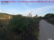 辽宁省,朝阳市,龙城区,半拉山街道,半拉山村