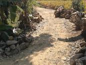 广东省,广州市,增城区,小楼镇,黄村