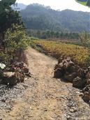 广东省,广州市,增城区,小楼镇,黄村