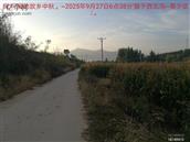 辽宁省,朝阳市,龙城区,半拉山街道,半拉山村