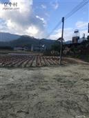 广东省,广州市,增城区,小楼镇,黄村