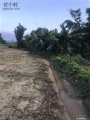 广东省,广州市,增城区,小楼镇,黄村