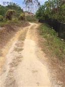 广东省,广州市,增城区,小楼镇,黄村