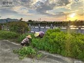 广东省,汕尾市,海丰县,陶河镇,下边村