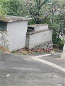 辛开口村 八月初六