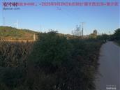 辽宁省,朝阳市,龙城区,半拉山街道,半拉山村