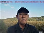 辽宁省,朝阳市,龙城区,半拉山街道,半拉山村