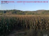 辽宁省,朝阳市,龙城区,半拉山街道,半拉山村
