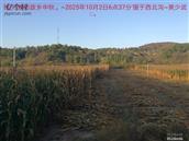 辽宁省,朝阳市,龙城区,半拉山街道,半拉山村