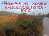 辽宁省,朝阳市,龙城区,半拉山街道,半拉山村