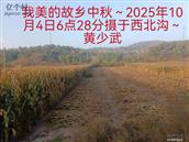 辽宁省,朝阳市,龙城区,半拉山街道,半拉山村