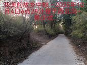 辽宁省,朝阳市,龙城区,半拉山街道,半拉山村