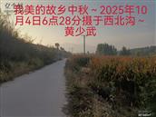 辽宁省,朝阳市,龙城区,半拉山街道,半拉山村