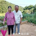 广东省,梅州市,兴宁市,径南镇,宝兴村