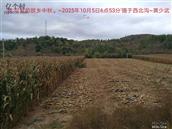 辽宁省,朝阳市,龙城区,半拉山街道,半拉山村