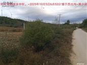 辽宁省,朝阳市,龙城区,半拉山街道,半拉山村