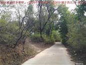 辽宁省,朝阳市,龙城区,半拉山街道,半拉山村