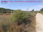 辽宁省,朝阳市,龙城区,半拉山街道,半拉山村