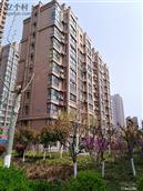 山东省,泰安市,肥城市,新城街道,古店村