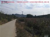 辽宁省,朝阳市,龙城区,半拉山街道,半拉山村