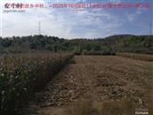 辽宁省,朝阳市,龙城区,半拉山街道,半拉山村